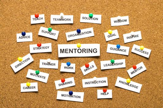 Mentor pin board